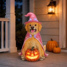 Halloween Golden Retriever Dog Statue, Large Sitting Dog Figurine with Pink Witch Hat & Cape, LED Light Up Jack-O-Lantern Pumpkin (Option: Brown+Yellow,Pink)
